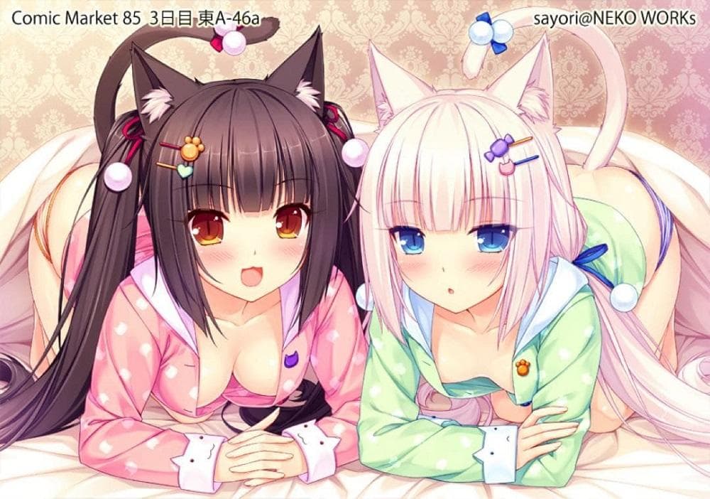 ネコぱら ショコラ バニラ ブランケット NEKO WORKs さより