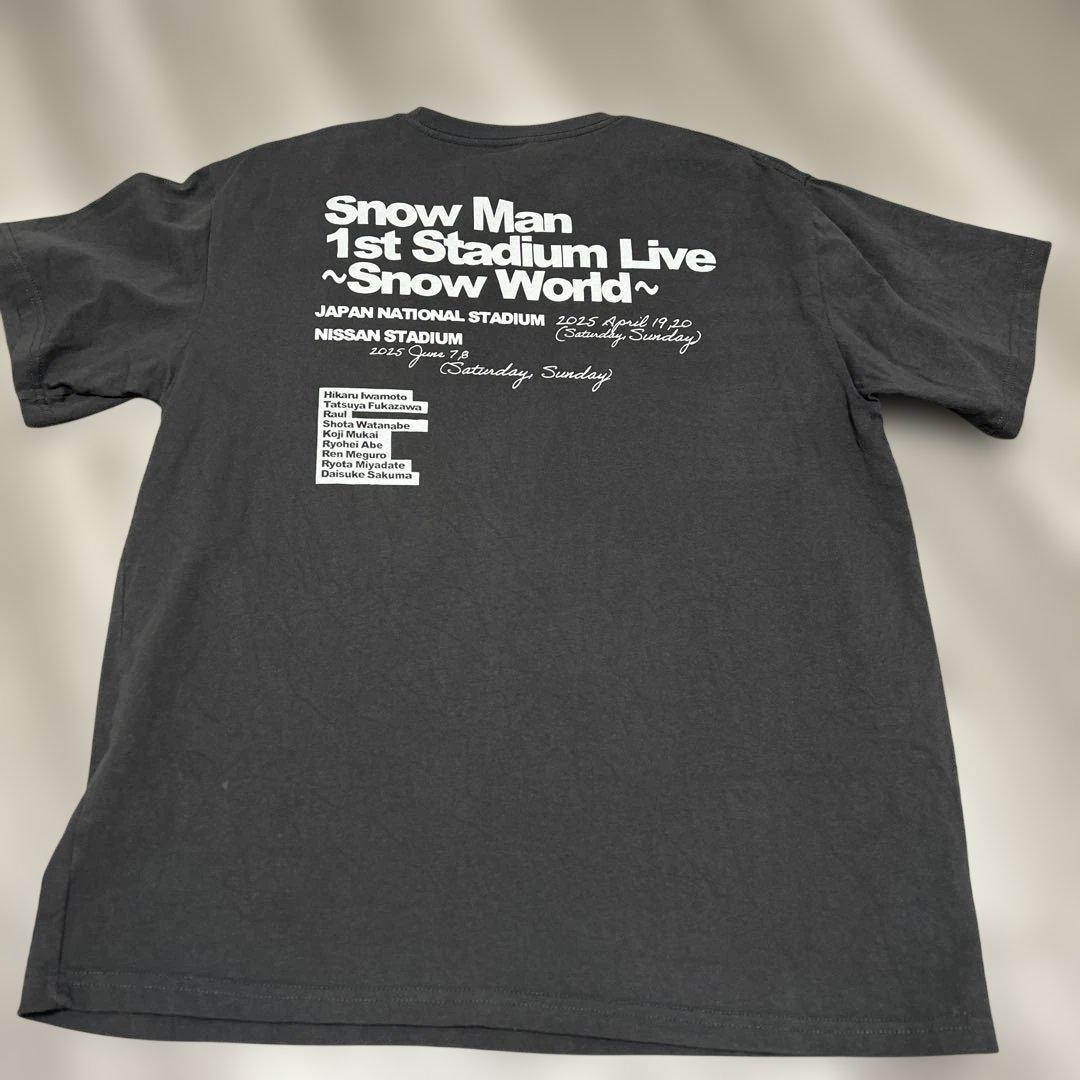 【最終値下げ‼️】 Man 1st Stadium Live Tシャツ