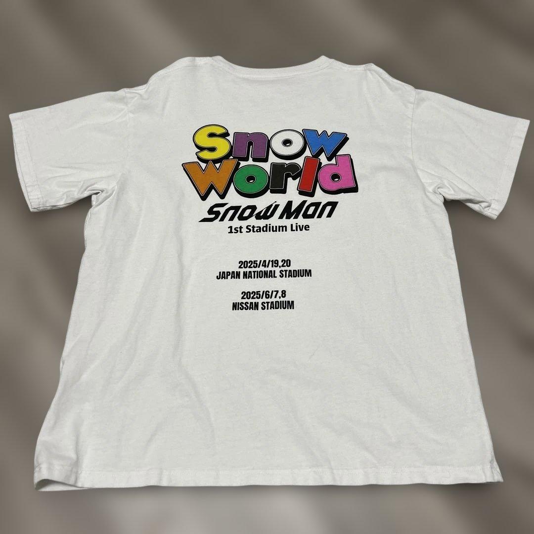 【最終値下げ‼️】 Man 1st Stadium Live Tシャツ