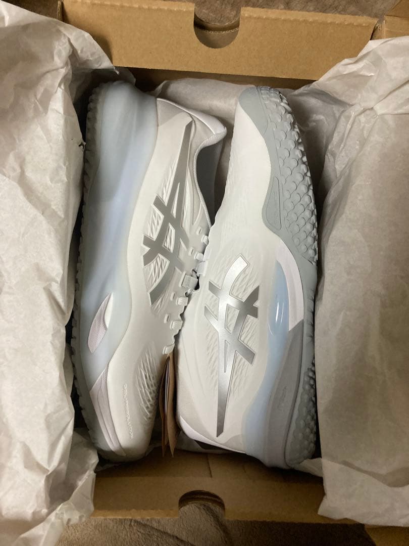 ASICS ゲルレゾリューションX 29.0 2E 新品未使用　タグ付き