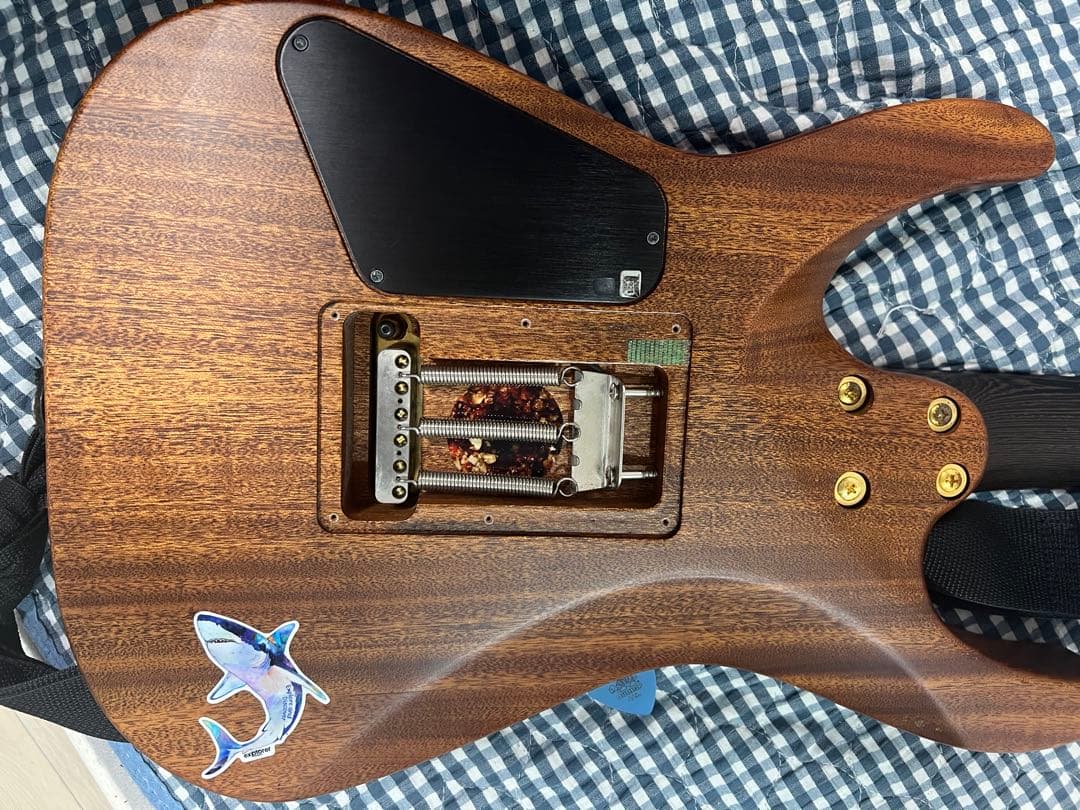 ギター Charvel MJ Dinky DK24 2PT E MAH Natural