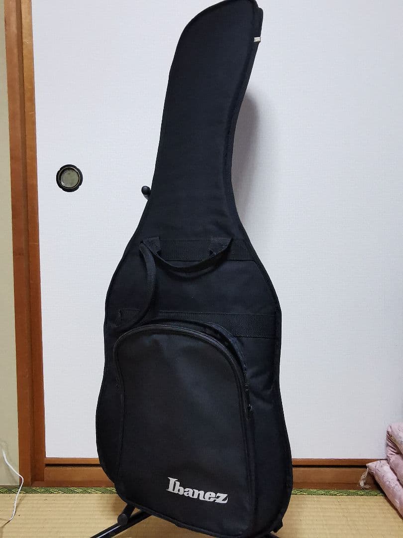 Ibanez RG350DXZ 調整済 ソフトケース付 GT専用ダンボール発送