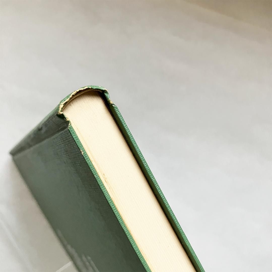 大空詩人 自叙伝・青年篇 永井叔