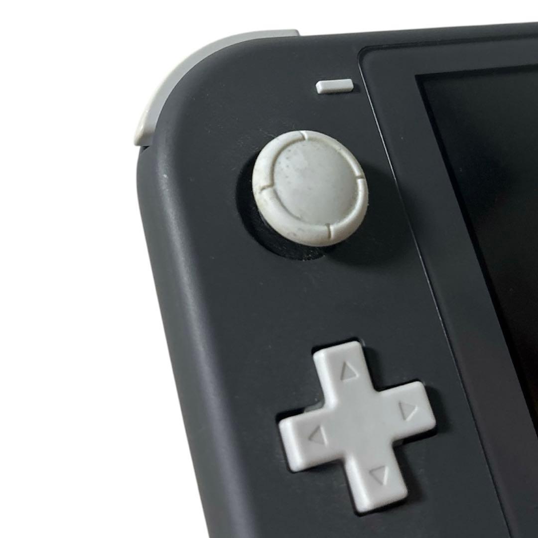 Nintendo Switch Lite 本体 ＋ どうぶつの森、ポケモン