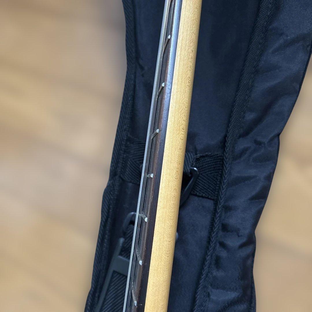 ギター FERNANDES zo-3