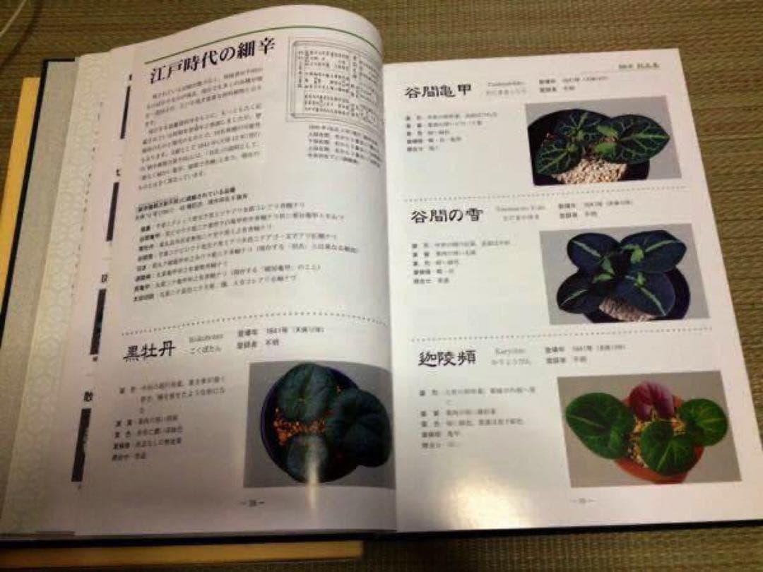 専用　11冊
