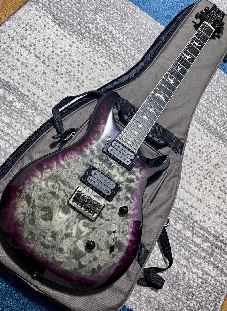ギター PRS SE Mark Holcomb