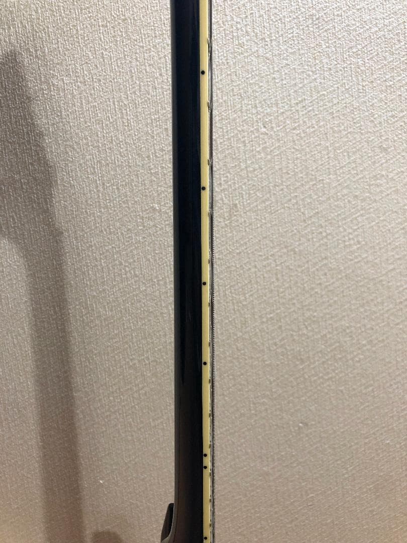 ギター Bacchus BSG-480?