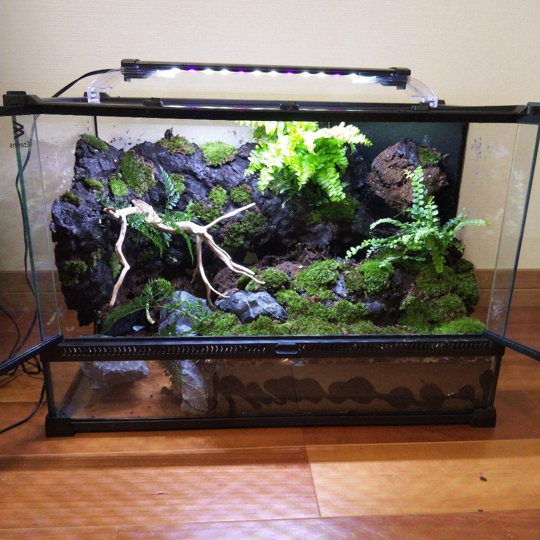 【受注生産】爬虫類飼育ケージ
