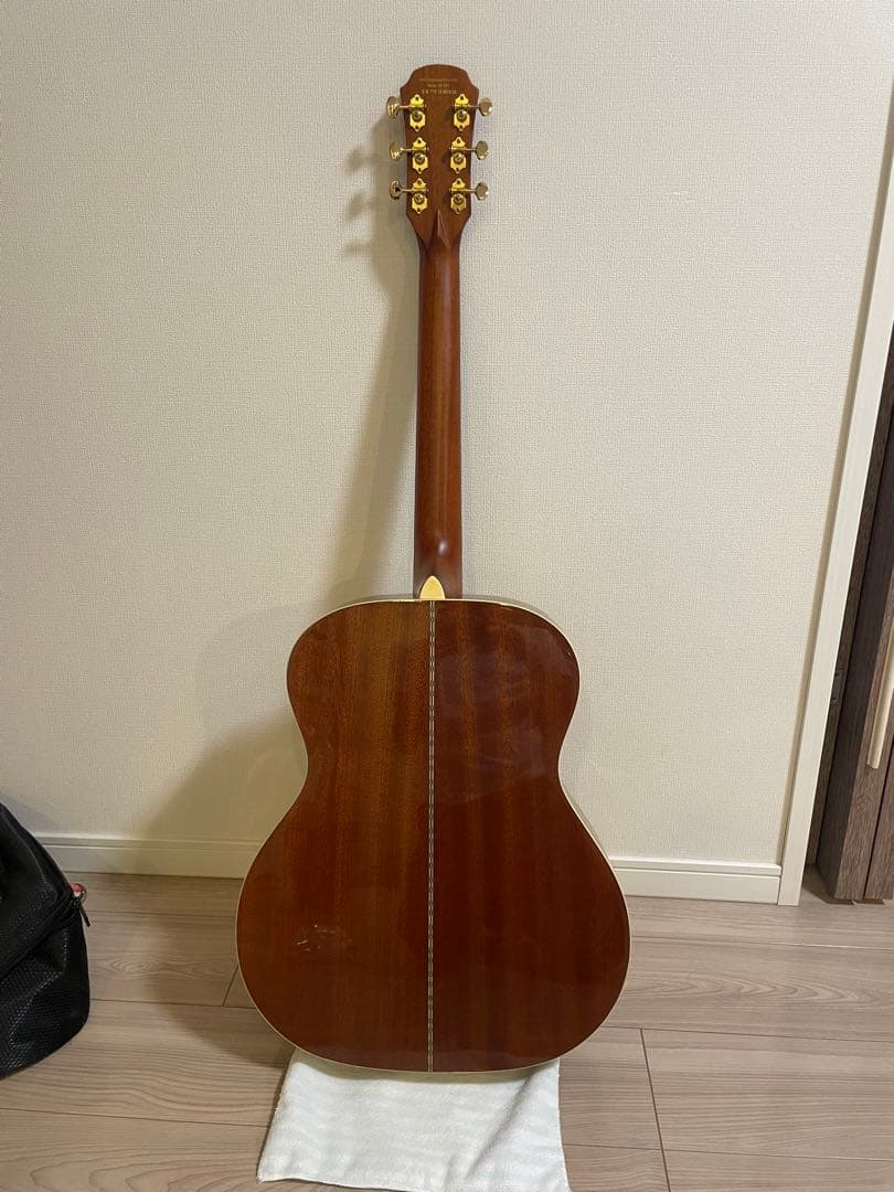 アコースティックギター aria af501