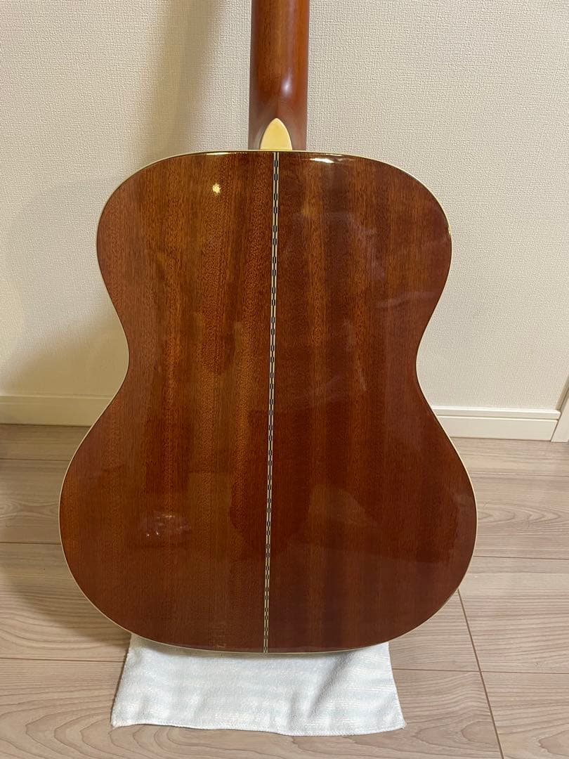 アコースティックギター aria af501