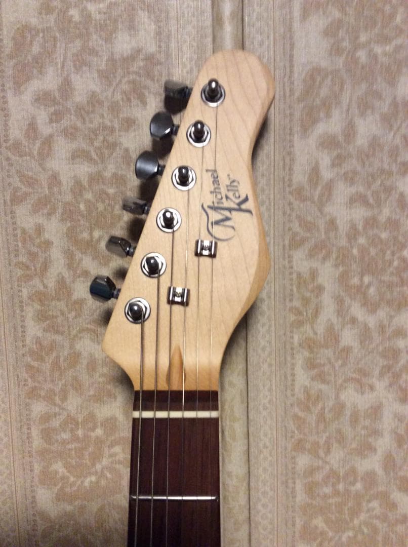ギター Michael Kelly Guitars 59 thin line P-90