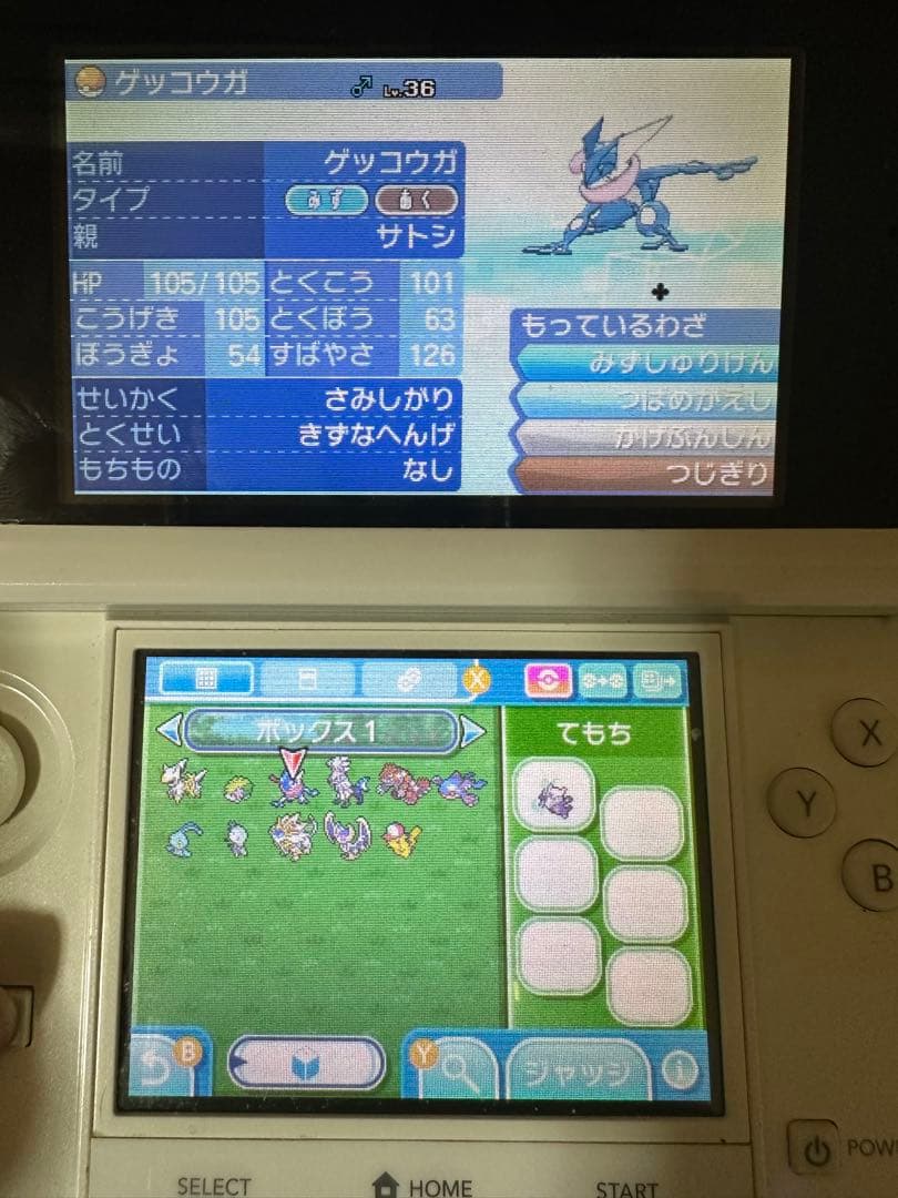 配布あり‼️ポケットモンスタームーン　 外箱なし