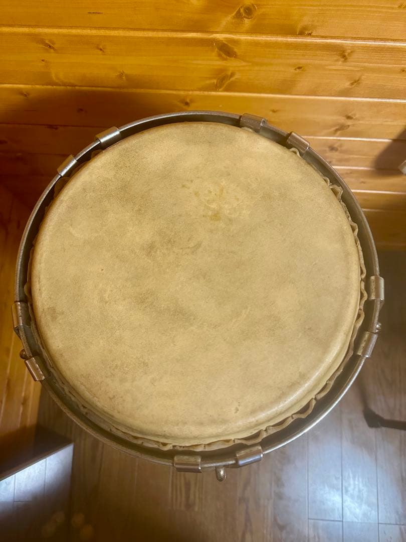 Pearl　コンガ