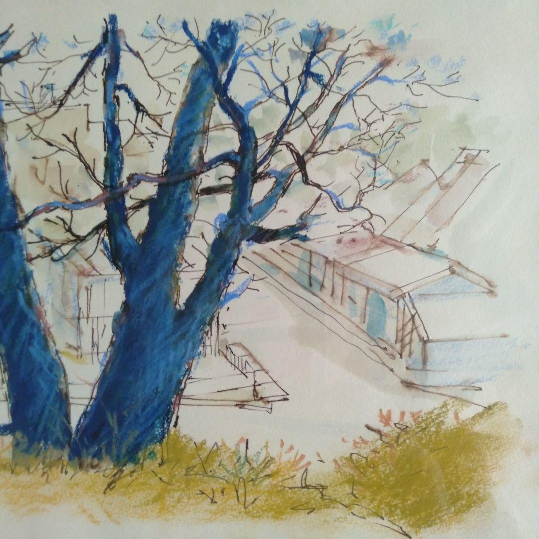 星俊六　水彩画　 青い木の風景 　サイン入り　木製額付き　箱付き