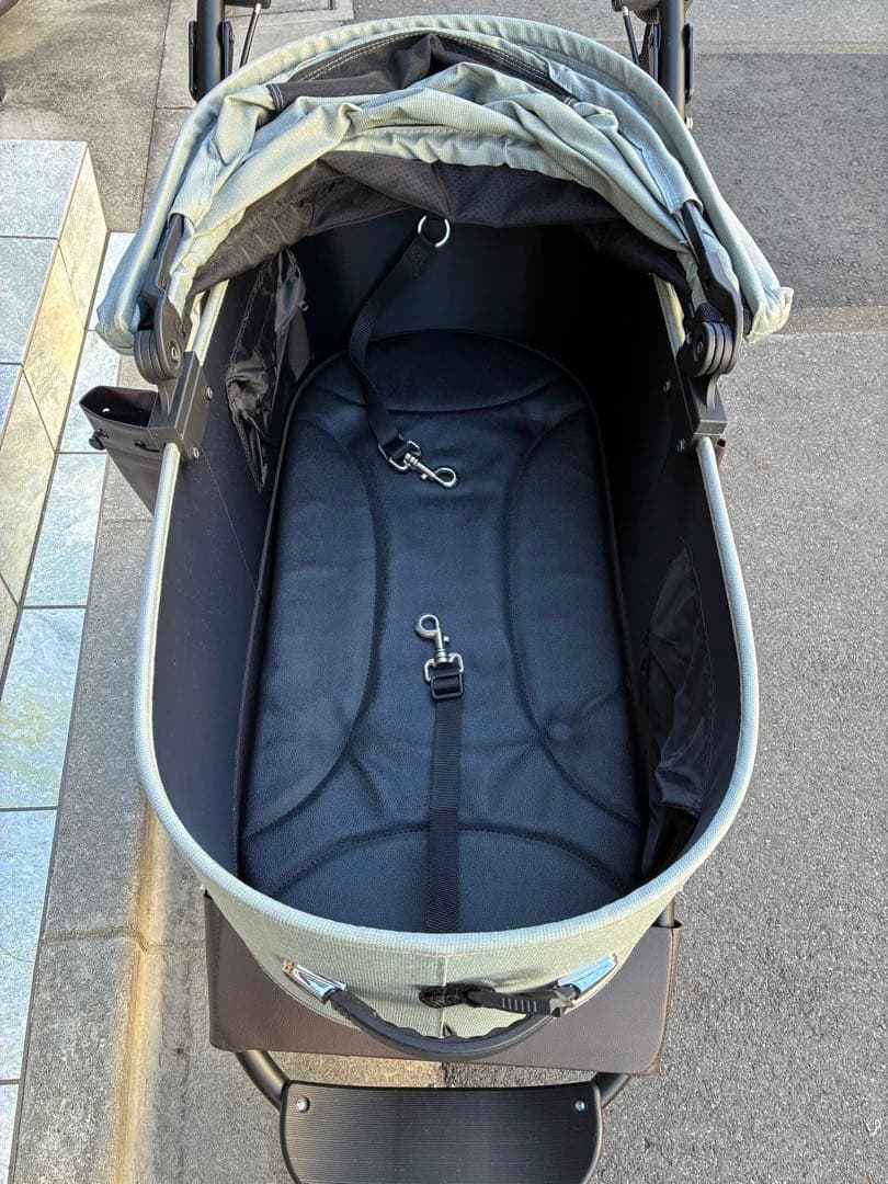 Air Buggy エアバギー　ドーム3 ラージ