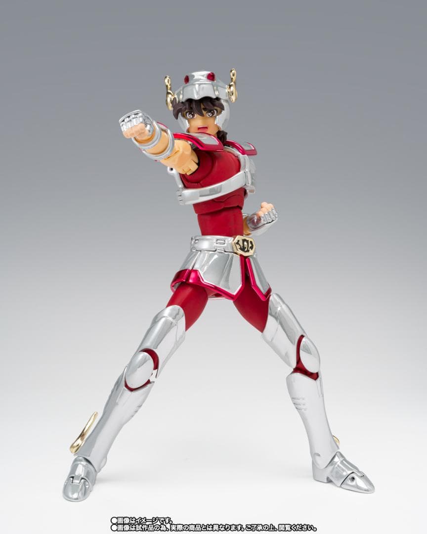 聖闘士聖衣神話 初期青銅聖衣  20th Anniversary 5体セット