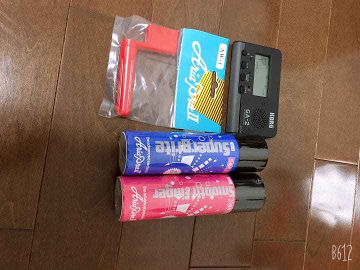 AriaProllエレキギター、カバー、アンプ、ピック、手入れ道具、シールド、本