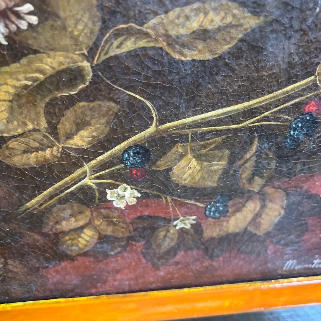 Montanari Papagallo 油彩画 50x70 cm