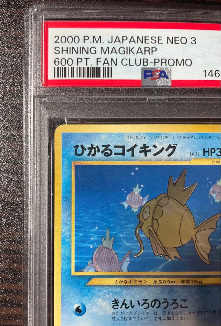 ひかるコイキング「ポケモンファンクラブ」 特製プロモ