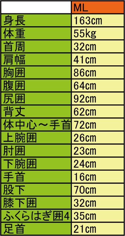 国内生産/ALL3mロングジョン/クラッシックスタイル/レディースMLサイズ