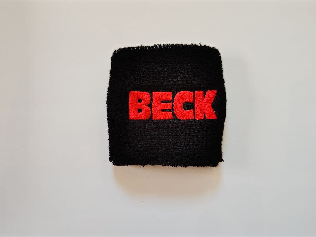映画BECK DVD 、パンフレット、ガイドブックなど