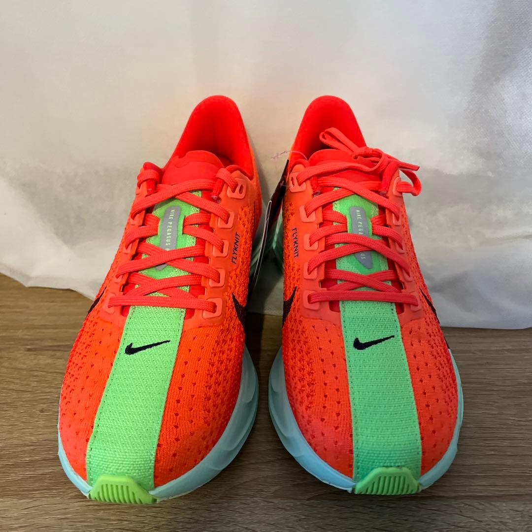 Nike Zoom ペガサスPLUS