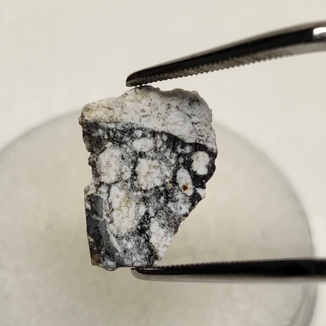 月隕石 NWA5000 320mg アダムホープ氏サインカード付き NO.399