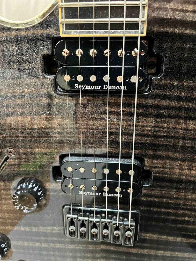 ギター Mayones Regius 6/Lefty (T-GRA-G)