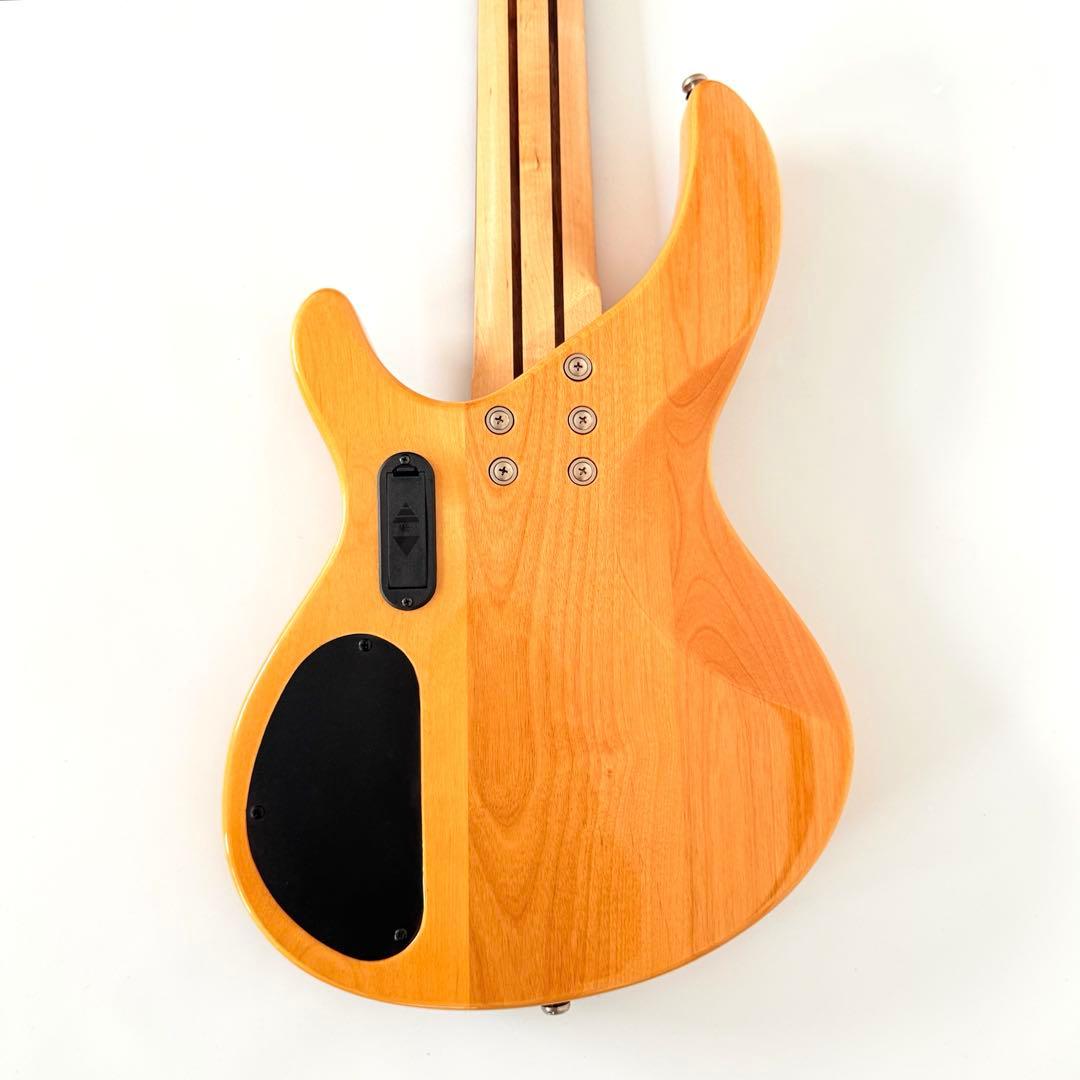 【極美品】Aria Pro Ⅱ IGB-55ROSE 5弦ベース アリアプロ