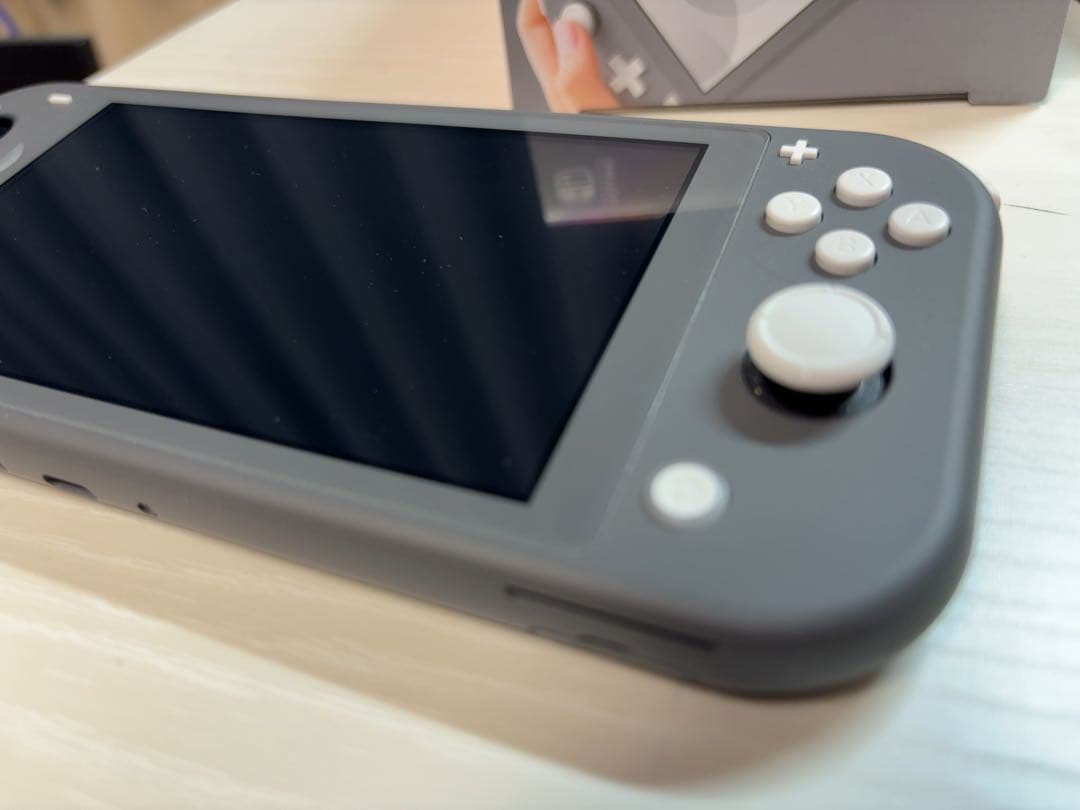 Nintendo Switch Lite グレー 充電器とカバー付き