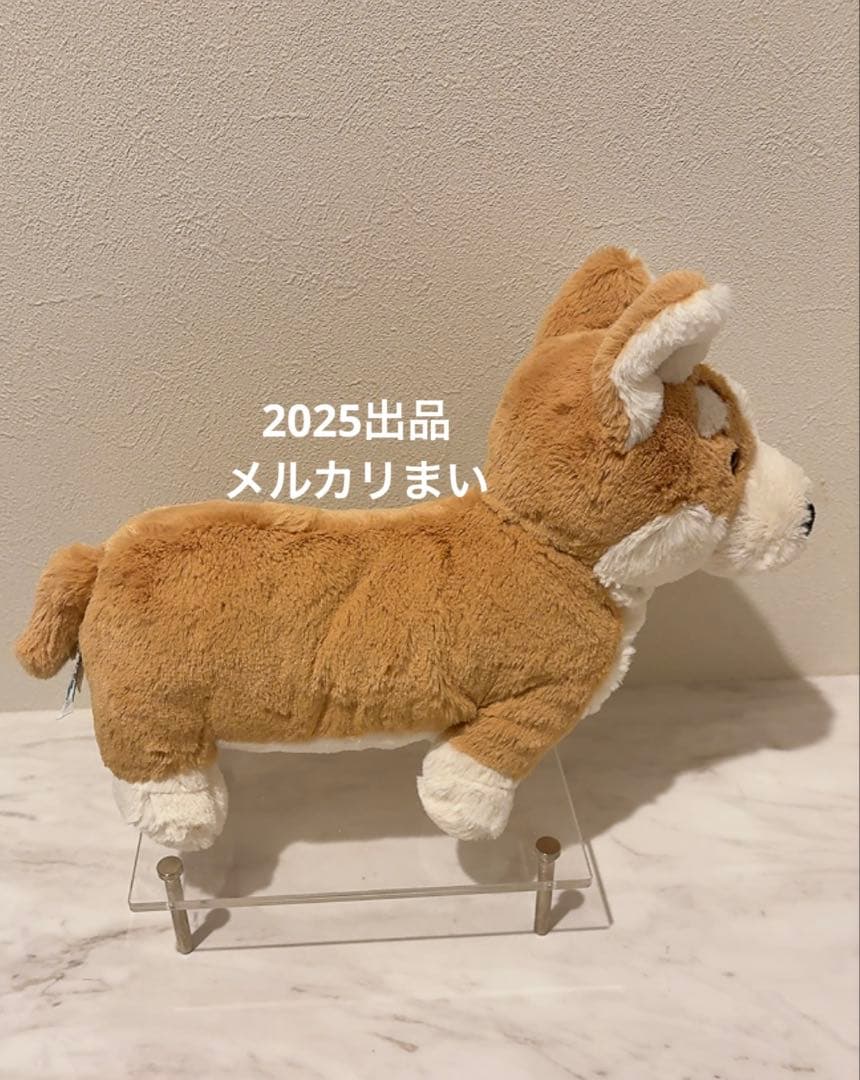  Betty Corgi ぬいぐるみ コーギー ジェリーキャット