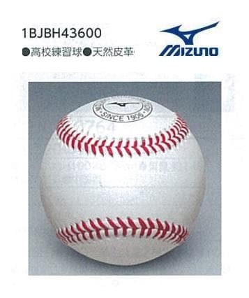 ミズノ 硬式ボール 練習球 高校野球 中学硬式 11個 1BJBH43600