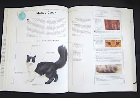 本256／洋書　図鑑　all the World's Cat Breeds