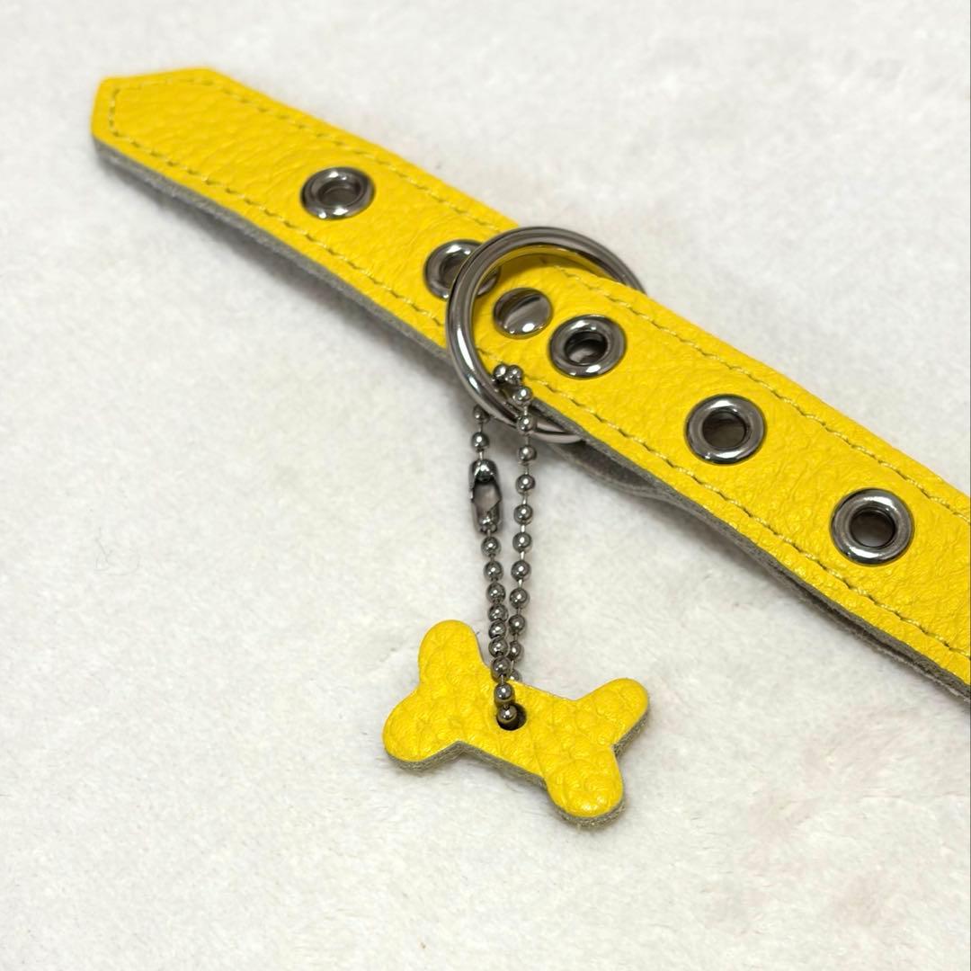 【試着のみ】Buddy Belts バディーベルト イエロー ハーネス サイズ3