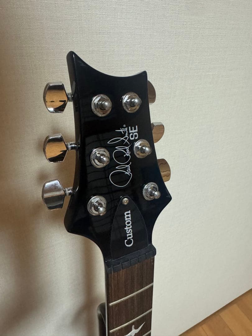 ギター Paul Reed Smith SE Custom