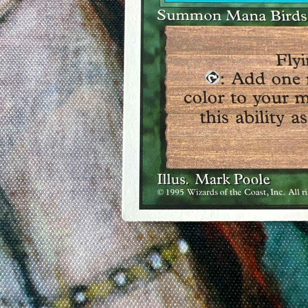 MTG Birds of Paradise 4ED 英語　極楽鳥　miscut