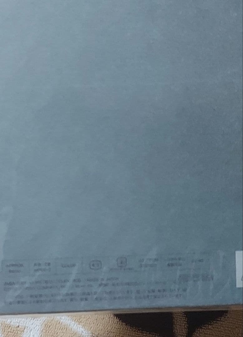 美品嵐ALLorNOTHING　DVD