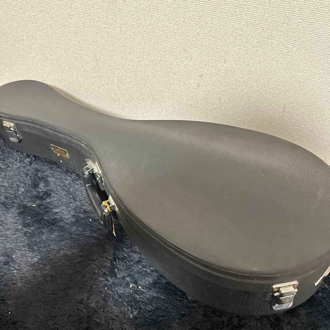 激レア! S.Watanabe No.250 マンドラ 弦楽器 ケース付属