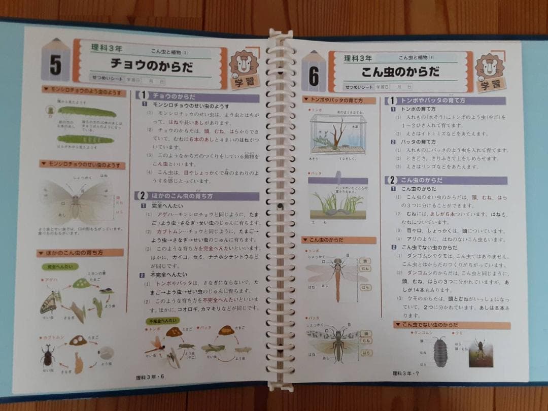 自宅学習教材　理科　小学３年〜６年　DVD付