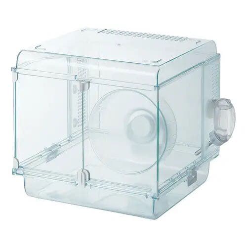 グラスハーモニー３００Ｃｕｂｅ