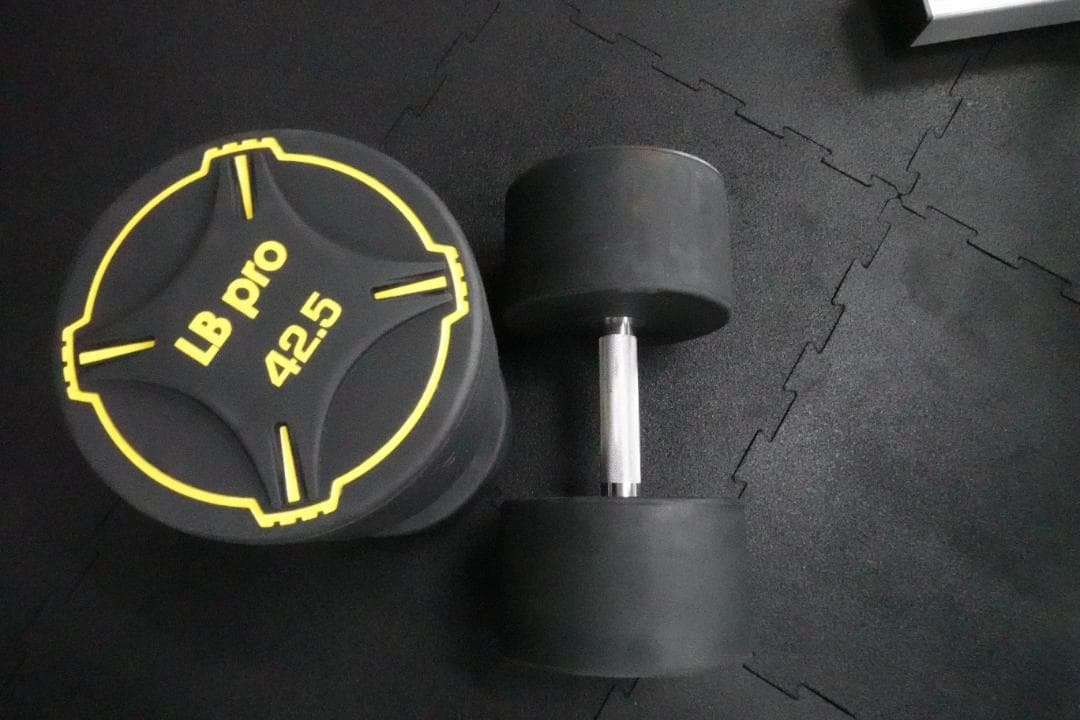 TPUダンベル　42.5kg 2個　計　95㎏