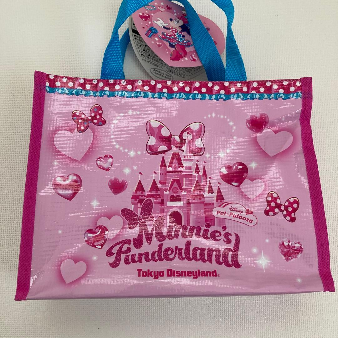 ディズニー　パルパルーザ　チョコレートバッグ