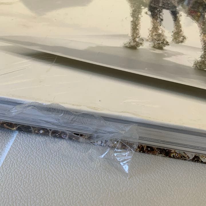 名和晃平　シンセシス　SYNTHESIS作品集　限定シート入り