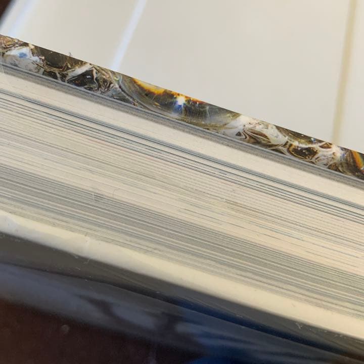 名和晃平　シンセシス　SYNTHESIS作品集　限定シート入り