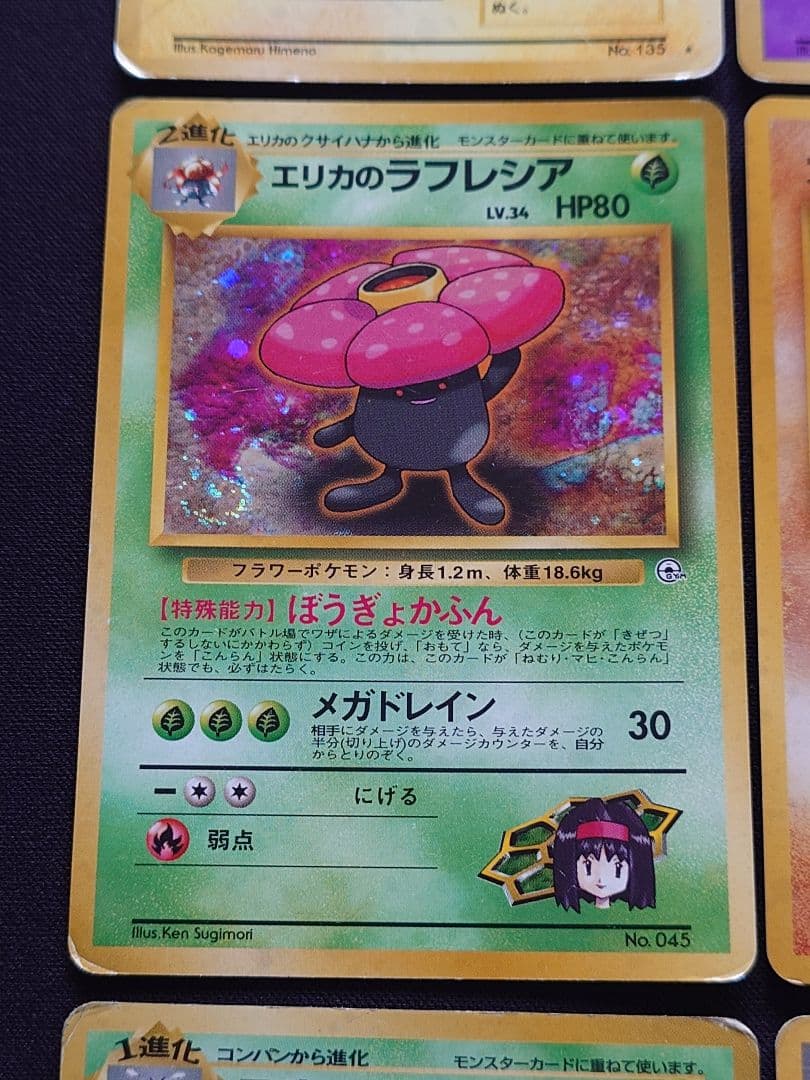 サンダース　わるいフーディン　エリカのラフレシア　旧裏