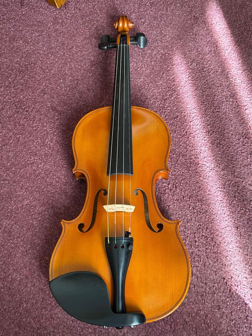 ★お値下げ中！Karl Hofner バイオリン4/4一式　プロテックケース付