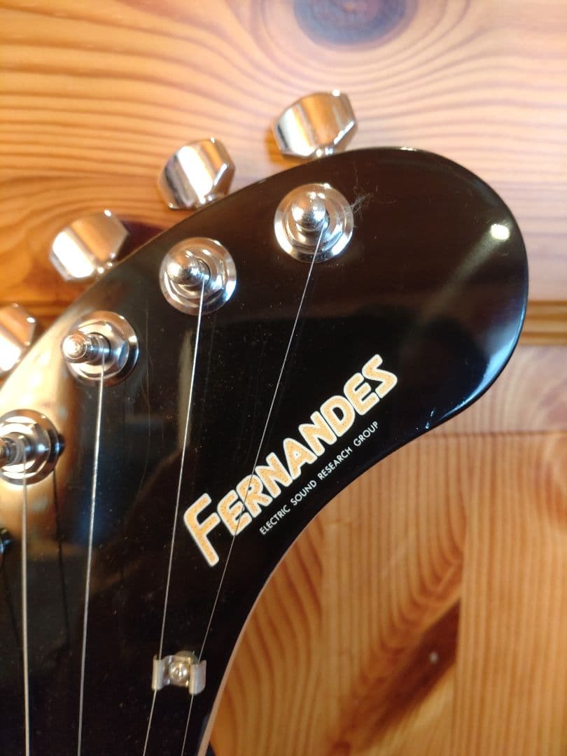 【FERNANDES】ZO-3 ソフトケース付き