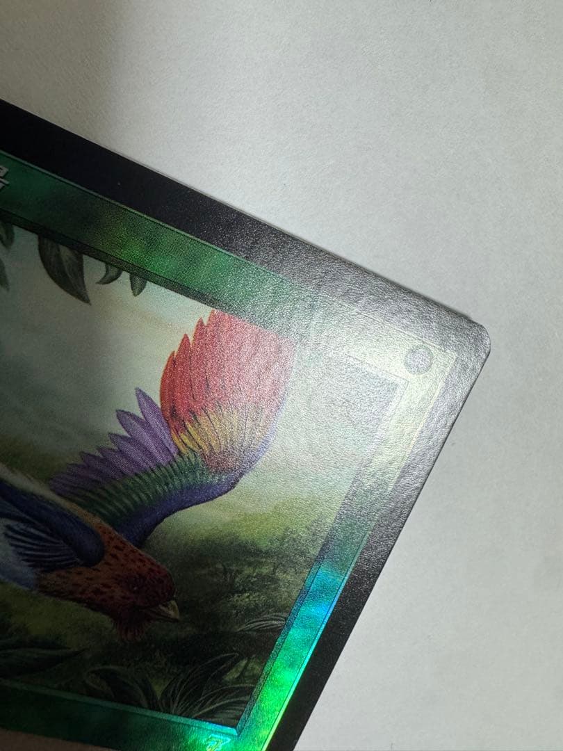 【希少】MTG 7版日本語旧枠Foil極楽鳥/Birds of Paradise