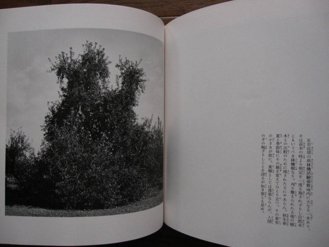 津軽 聊爾先生行状記 / 秋山亮二 / サイン入り